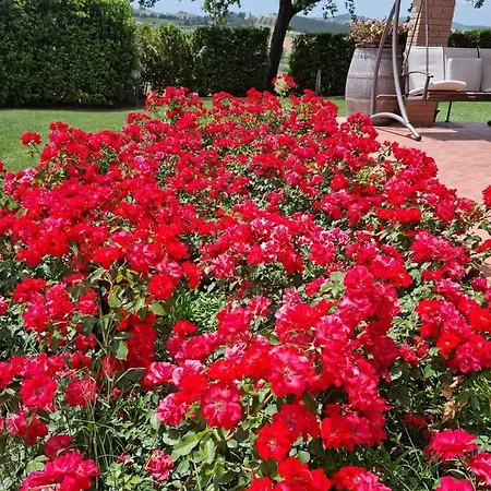 Farm stay Le Siepi Magliano in Toscana