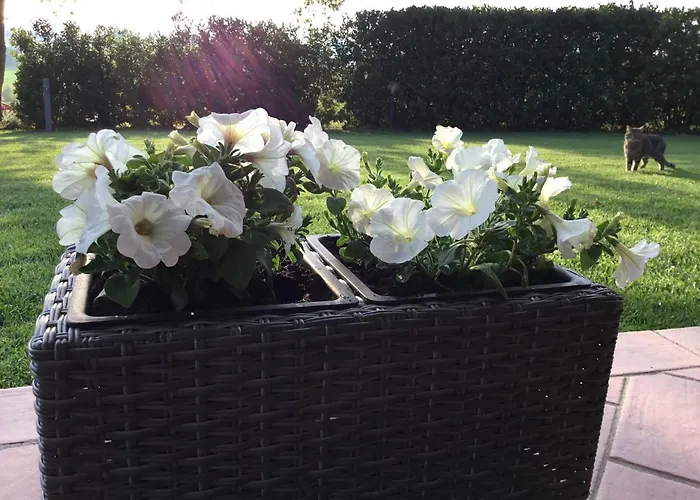 팜스테이 Le Siepi *