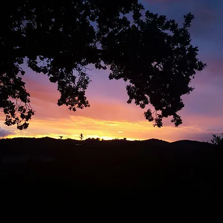 Le Siepi * Magliano in Toscana