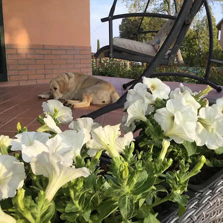 Le Siepi Vakantieboerderij Magliano in Toscana