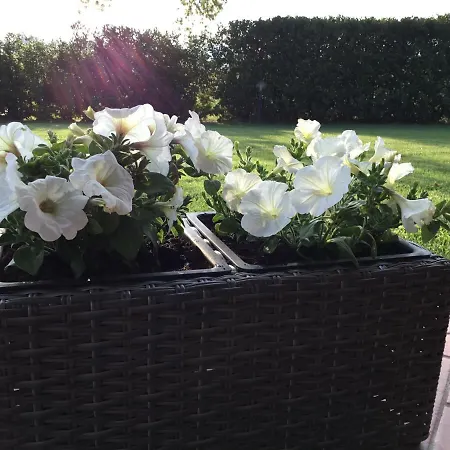 Vakantieboerderij Le Siepi *