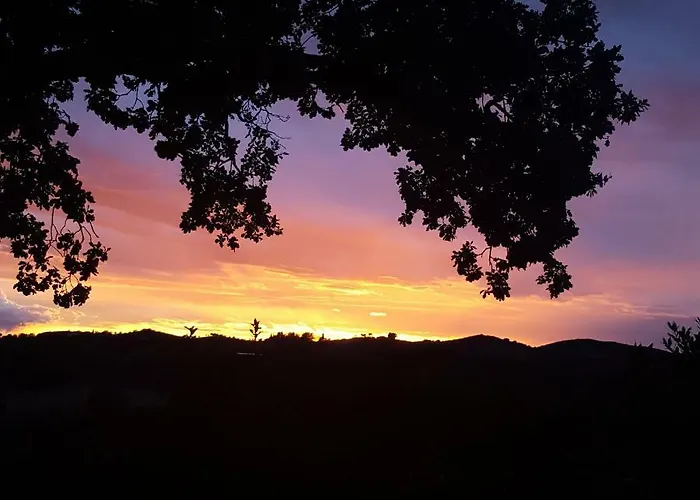 Le Siepi * Magliano in Toscana